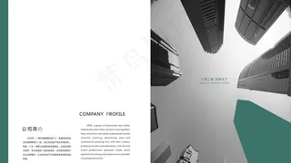 地产公司简介书籍图片