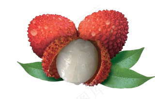 卡通水果荔枝设计png素材
