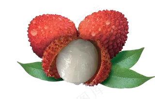 卡通水果荔枝设计png素材