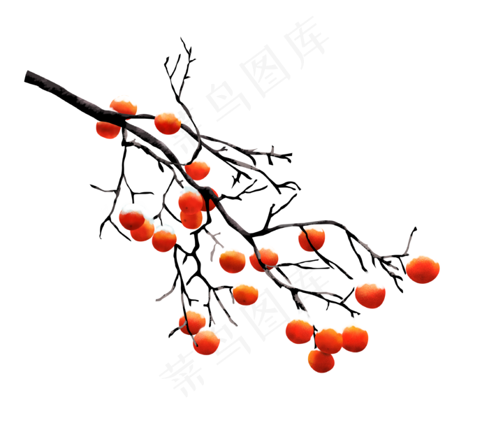 手绘中国风柿子树,免抠元素