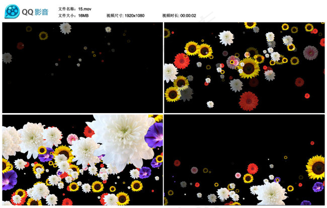 Videohive-视频转场动态素...