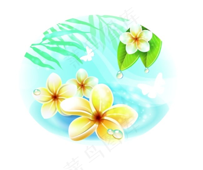 水中的鸡蛋花ai矢量模版下载