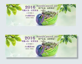 孔雀花盆1920*600海报