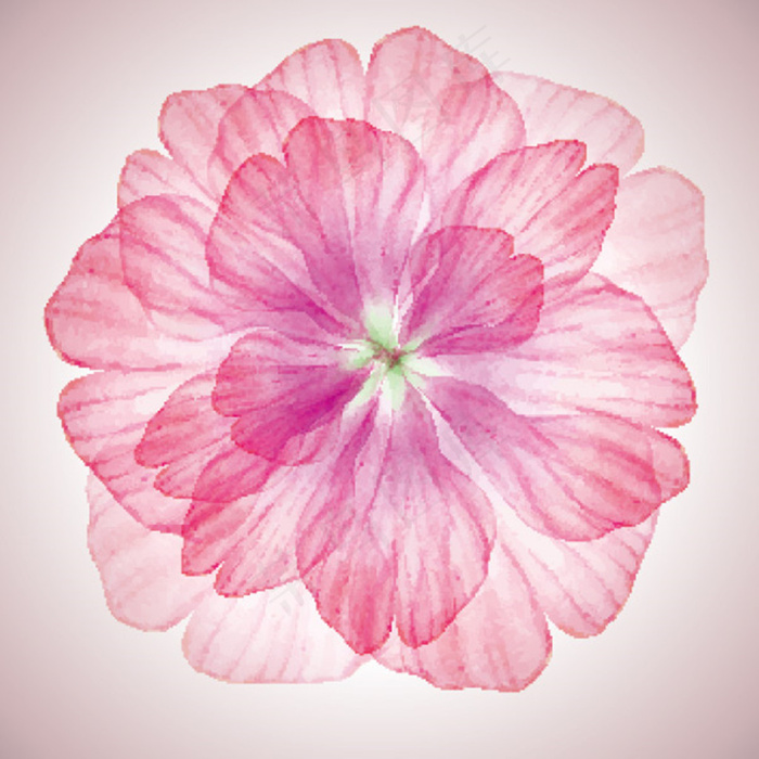 粉色花瓣矢量设计素材