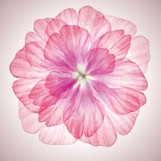 粉色花瓣矢量设计素材