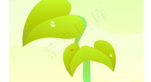 叶子图片