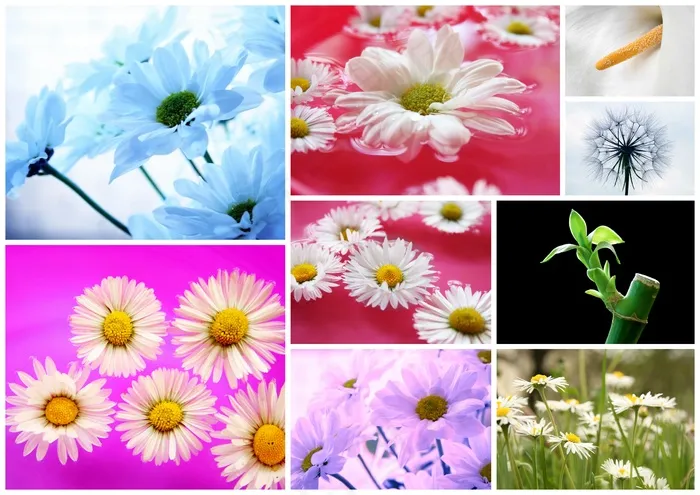 花