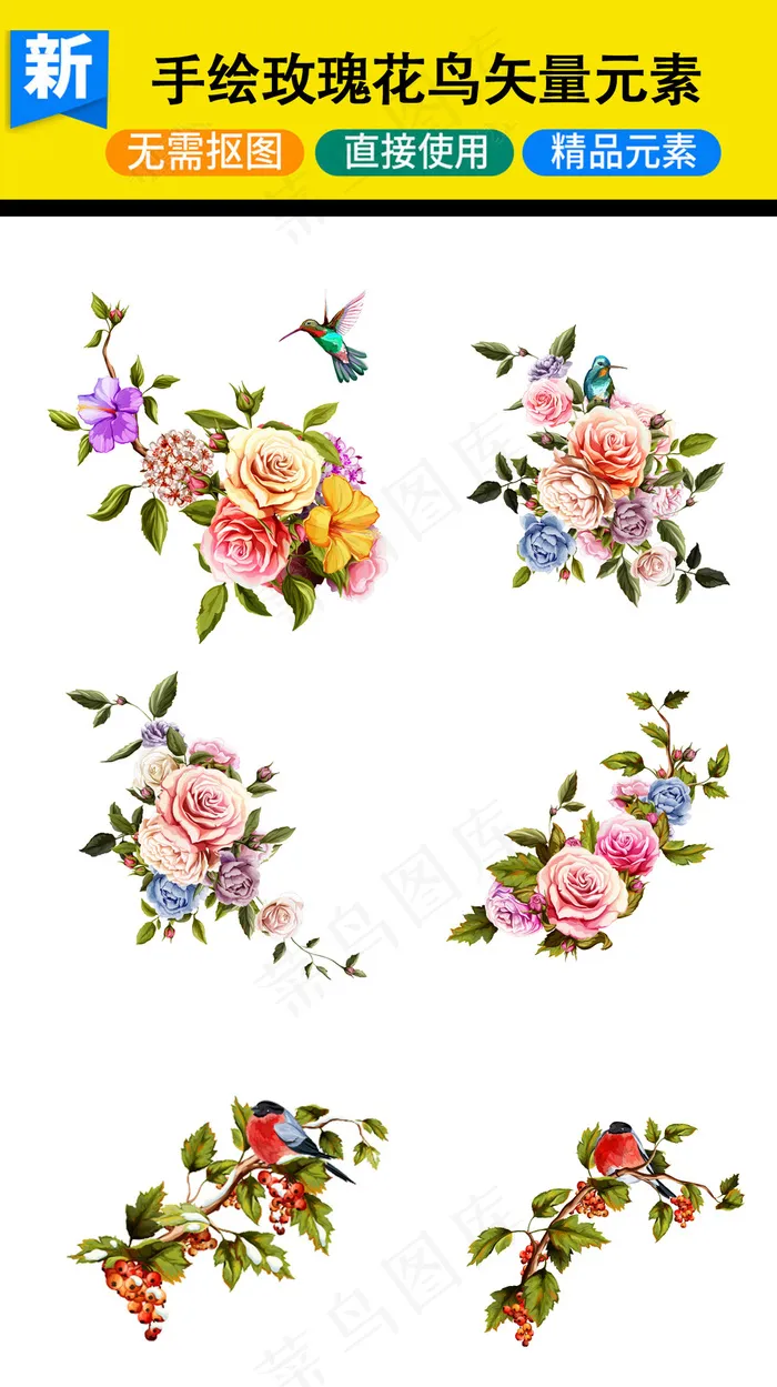 唯美手绘玫瑰花朵小鸟矢量图