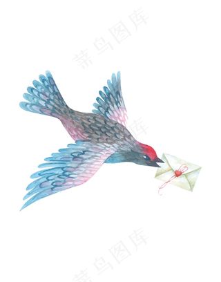 飞禽元素鸟信封