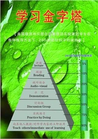 学习金字塔图片