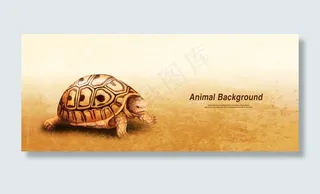 彩铅画效果动物分层背景 乌龟
