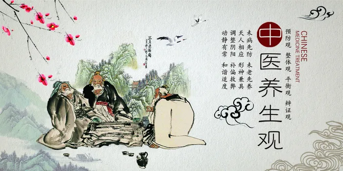 中国风中医养生健康医疗展板