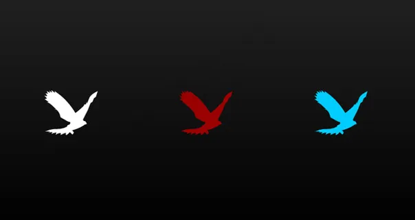 三张颜色白鸽飞行flash