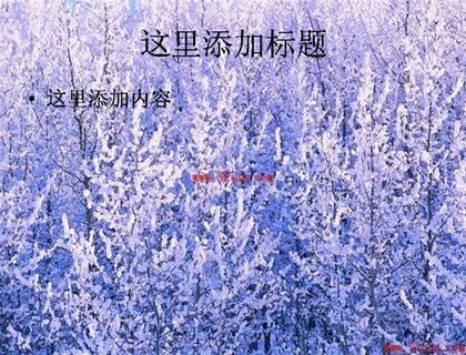 美丽冬季雪景