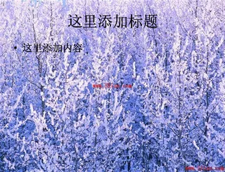 美丽冬季雪景
