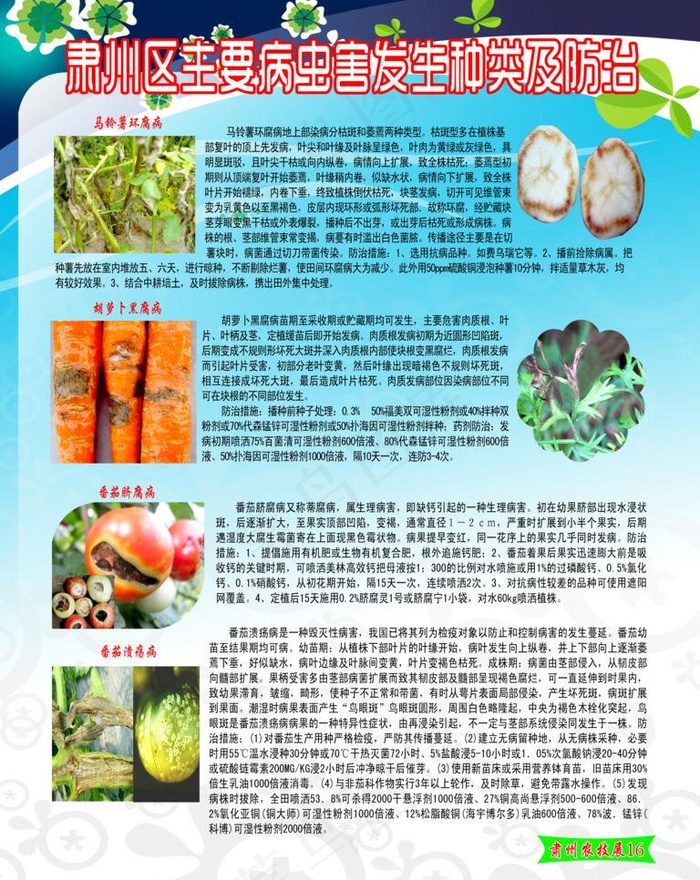 农业技术展板图片(3543X4724(DPI:100))psd模版下载