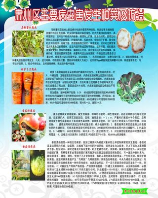 农业技术展板图片