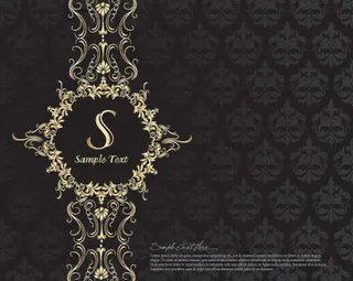 一些高贵的模式向量