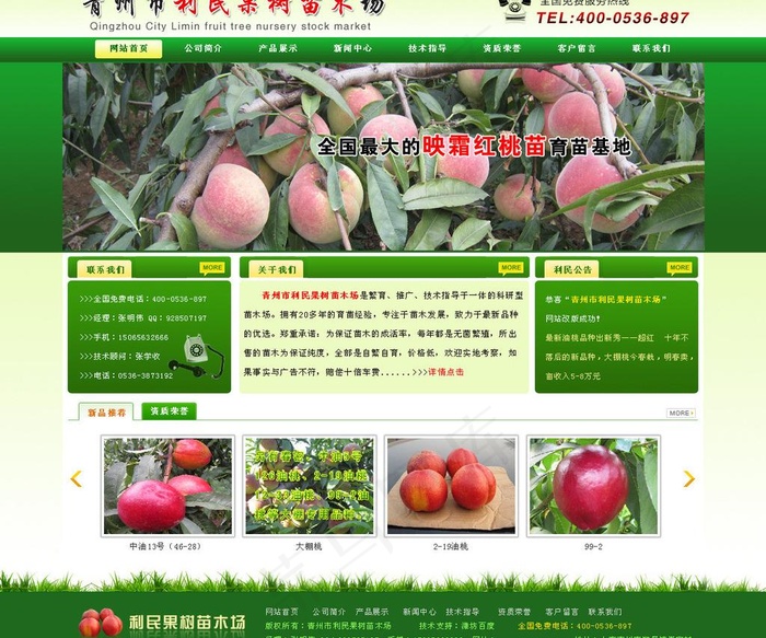 果树苗木场图片