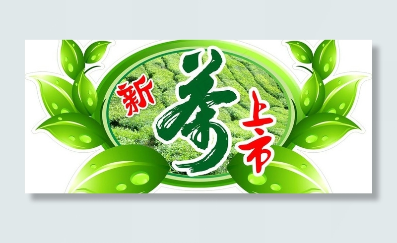 新茶上市图片psd模版下载