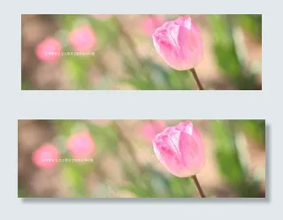 25张淘宝柔美日系广告背景图片