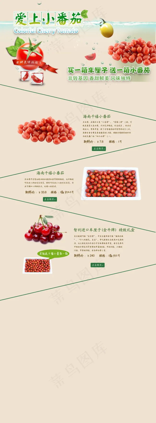小番茄促销PSD模板下载psd模版下载