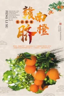 中国风赣南脐橙促销宣传海报