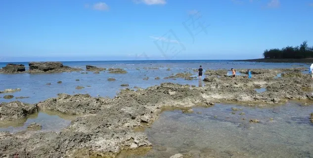 潮间带海景礁石游客图片