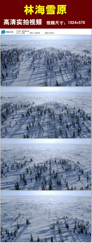 林海雪原