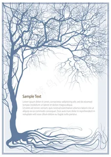 素雅树枝封面 素雅树枝封面