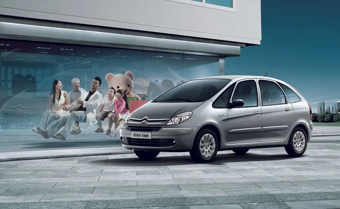 萨拉毕加索图片