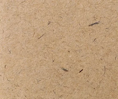 木板 木头 纹理 背景