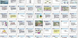 广州美林湖整体推广方案（王志纲工作...