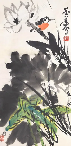 花鸟图片 花鸟图片