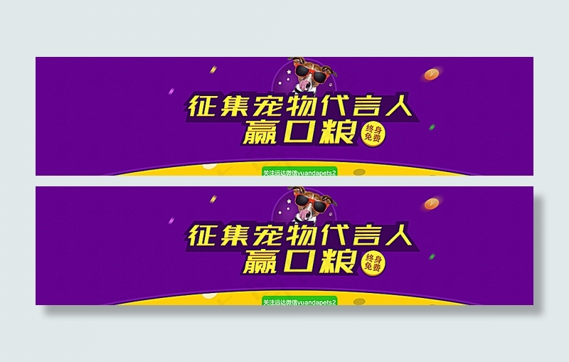 宠物代言活动banner图片psd模版下载