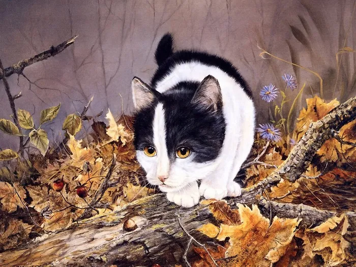 猫咪 宠物 手绘画_22_猫
