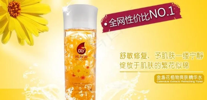 金盏花创意广告图图片psd模版下载