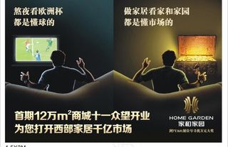 家和家园 dn宣传单 海报图片