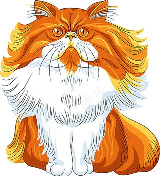 金色卡通宠物猫插画