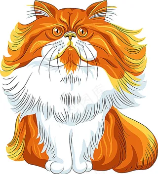 金色卡通宠物猫插画