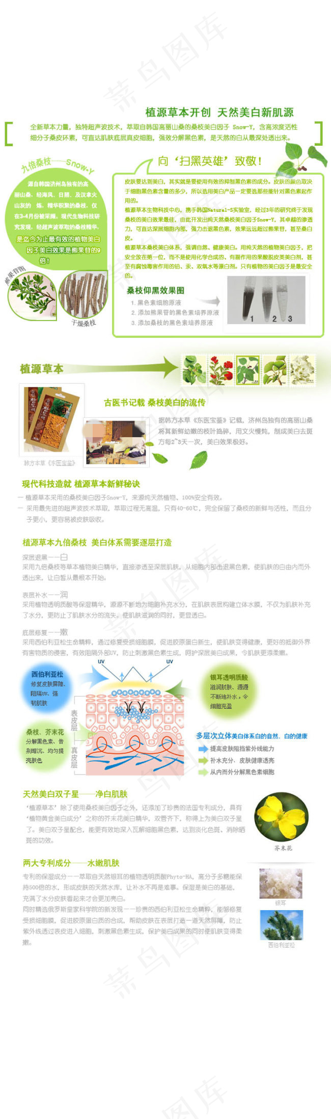 美白化妆品淘宝首页模板