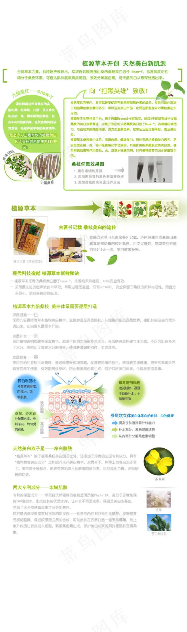 美白化妆品淘宝首页模板psd模版下载