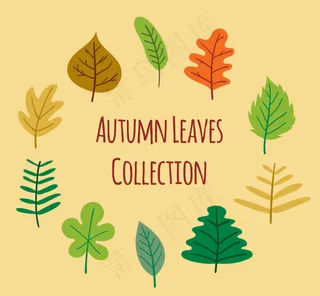 手绘树叶素材