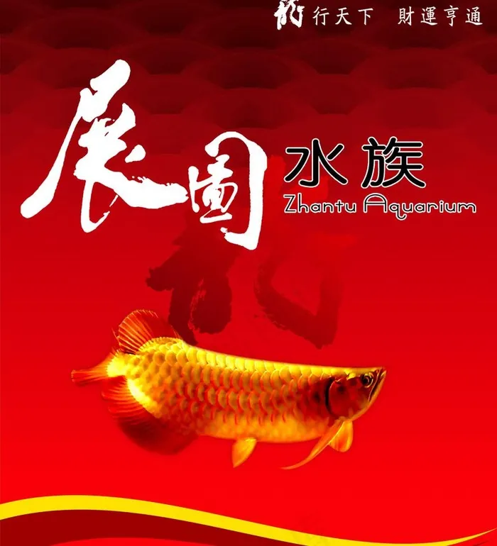展图水族psd模版下载