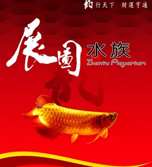 展图水族