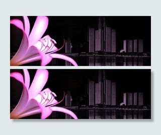 紫色兰花女性网页模板