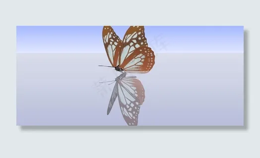 动物模型图片 动物模型图片