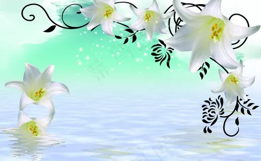 百合 倒影图片 百合 倒影图片