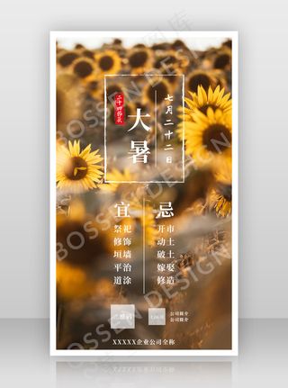 二十四节气之大暑，微信海报，节日海报