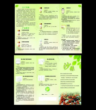 沙棘三折页图片